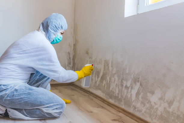 Licensed Mold Remediation service in Union City, GA - 24 Hour Mold Removal