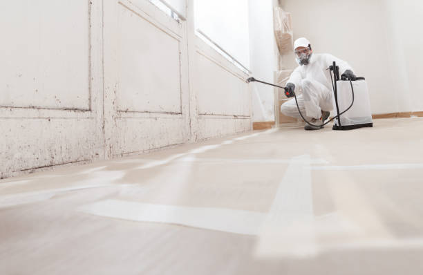 24/7 Emergency Mold Remediation experts in Union City, GA