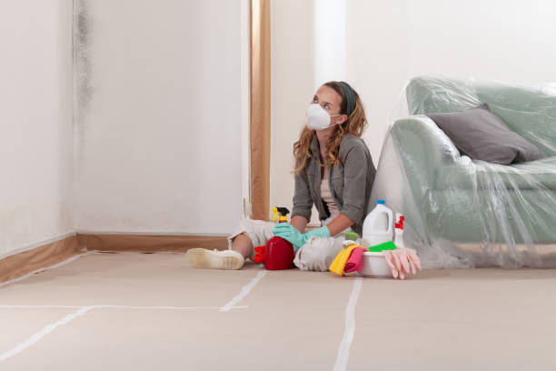 Reliable Mold Remediation contractor in Union City, GA by 24 Hour Mold Removal