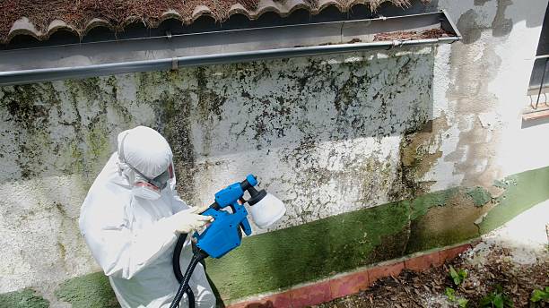 Top rated local Mold Remediation specialists in Union City, GA